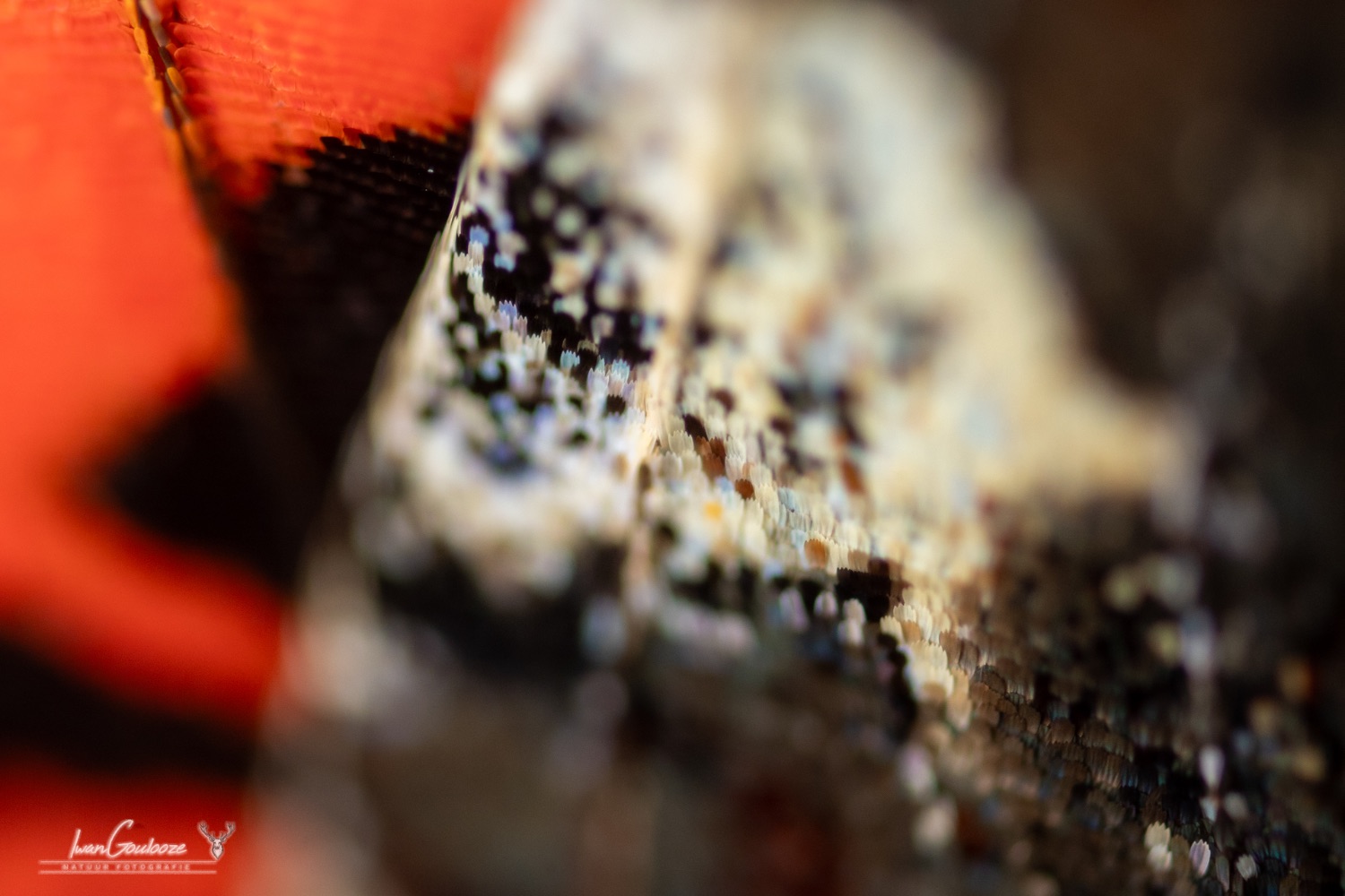 16 september 2023 124335  R2A2744